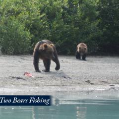 01-Two-Bears-Fishing