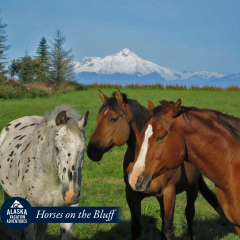 04-Horses-on-the-Bluff