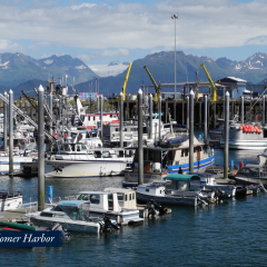 06-Homer-Harbor