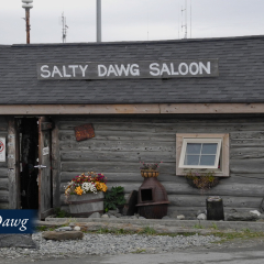 07-Salty-Dawg-Saloon