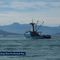 11-Fishing-Boat-Katchemac-Bay