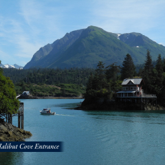 21-Halibut-Cove-Entrance