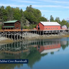 23-Halibut-Cove-Boardwalk__