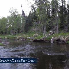 05-Bouncing-Roe-on-Deep-Creek