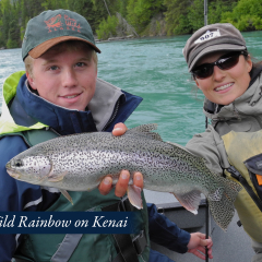 11-Wild-Rainbow-on-Kenai