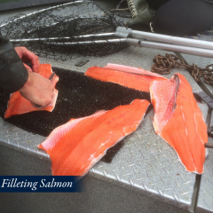 15-Filleting-Salmon