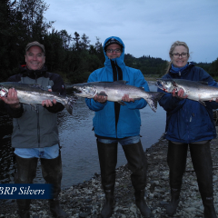 38-BRP-Silvers